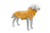 Hundepullover Fleece | Bio-Baumwolle | Amber