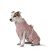 Lill`s Dog Hundebademantel aus Bio-Baumwolle Altrosa XL
