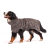 Lill`s Dog Hundebademantel aus Bio-Baumwolle Steingrau 3XS