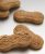 Mera Dog Biscuit 10 Kilogramm Hundekekse / Hundesnacks